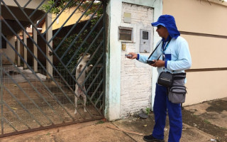 Animais soltos representam risco constante para a equipe de campo