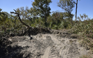 Caoma produz relatórios em propriedades onde há a suspeita de desmatamento ilegal.