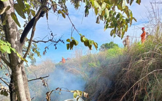 Carro explodiu depois de bater em árvore, disse os bombeiros