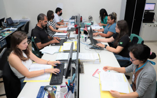 Todo solicitação de corte passa obrigatoriamente pelo Departamento de Licenciamento Ambiental, que envia especialistas para uma avaliação presencial da espécie