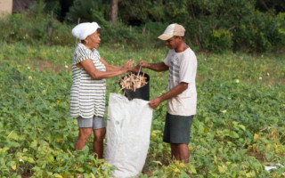 Iniciativa reforça o compromisso do Governo do Tocantins em valorizar o papel das mulheres na agricultura familiar.