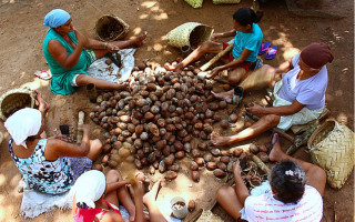 O produto é produzido e vendido em comércios como vendas e feiras, pelas próprias trabalhadoras.