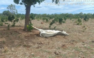 Situação de emergência se deve à estiagem prolongada no Tocantins.
