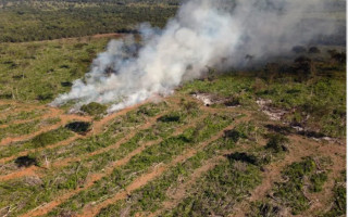 A decisão também acolheu o argumento de que a lei estadual promoveu retrocesso na proteção do meio ambiente.