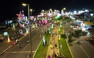 Autor alegou que furtou iluminação da decoração natalina ara comprar drogas