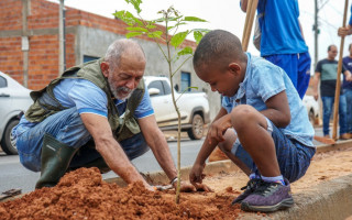 As escavações feitas no canteiro central da Avenida Araguaia, receberam 50 mudas de ipê branco, roxo e amarelo, que antes passaram por diversas etapas no Viveiro Municipal