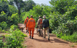 Os militares notaram um comportamento diferente do cão farejador que fazia varredura com a equipe.
