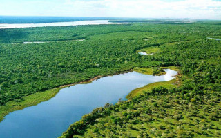 Ilha do Bananal é a maior ilha genuinamente fluvial do mundo.