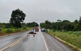 Acidente com gado na pista em Rio dos Bois deixa uma mulher morta. 