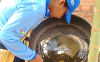 Todos podem colaborar com cuidados básicos como retirar dos quintais os recipientes que possam acumular água parada