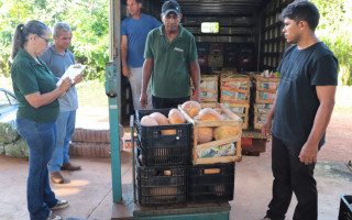 Toda semana, os 60 produtores rurais cadastrados levam frutas, verduras, legumes, grãos, cereais, polpas de fruta e mel para o galpão do programa