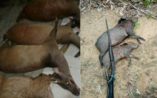 Membros da organização criminosa expondo animais mortos como troféus
