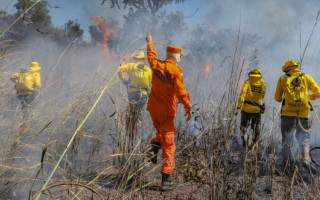 A seleção de Brigadistas é  uma parceria entre a Secretaria de Meio Ambiente e o Corpo de Bombeiros