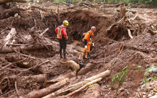 Cabo Alef Teles, subtenente Raphael Mollo e a cadela Sky em busca por vítima soterrada em deslizamento