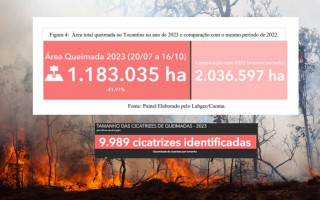 Apesar dos números alarmantes, os dados apontam uma redução de 42% nas áreas queimadas