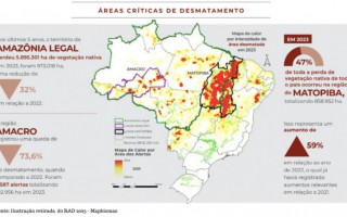 Segundo o RAD, o estado perdeu 230.253 hectares de vegetação nativa.