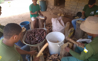 Projeto incentiva os arranjos produtivos locais e gera oportunidade trabalho e renda para as famílias