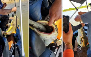 Pescadores resgatam peixe que ficou entalado ao tentar engolir uma iguana. 