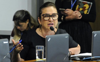 Senadora, relatora do projeto, é crítica à obra: 