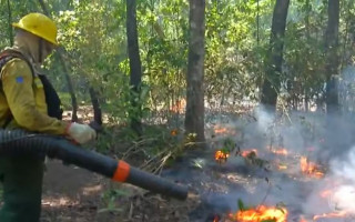 Brigadistas atuam no combate a incêndios na Ilha do Bananal