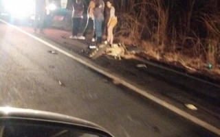 Motociclista de 45 anos morreu após colidir em caminhonete