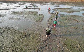 Operação teve o intuito salvar os peixes afetados pela redução dos níveis de água do Lago Bananal