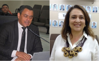Kátia Abreu diz que Terciliano vai assumir a suplência no Senado por 6 meses em 2020