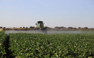 Cultivo de soja na Unidade de Pesquisa Agro da Unitins em Formoso do Araguaia 