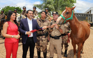 Governador Wanderlei Barbosa entrega cavalos que irão compor o Regimento de Polícia Montada