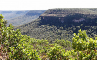 No período analisado, a área desmatada foi de 396,83 km²,