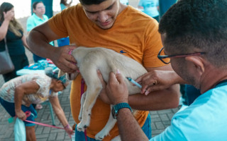 Além das ações itinerantes, as doses continuam disponíveis no CCZ e no Centro Municipal de Castração de Cães e Gatos