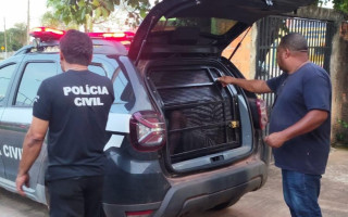 Prisão realizada por policiais civis da 99ª DP de Paranã  