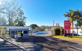Estudantes podem se inscrever para o Programa de Estágio 2025 da Minerva Foods em sete municípios brasileiros
