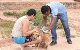 Donos de cães e gatos devem vacina-los, das 8h às 17 horas deste sábado (7).