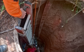 Bombeiros retiraram uma mula de um poço de oito metros em Jacilândia, distrito de Araguanã. O resgate durou cerca de quatro horas e contou com apoio de moradores e da Prefeitura.