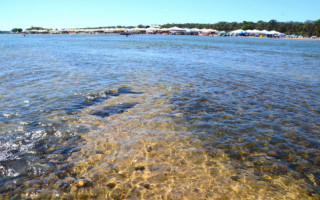 Capacitações do Sebrae preparam comerciantes para a temporada de praias no interior do Tocantins.