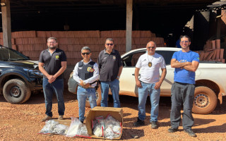Polícia Civil incinera mais de 7 kg de entorpecentes apreendidos durante ações no interior do Tocantins 