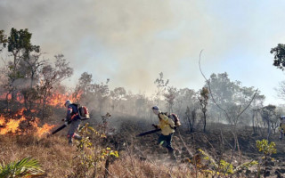 Aula prática foi realizada no Parque Estadual do Lajeado 