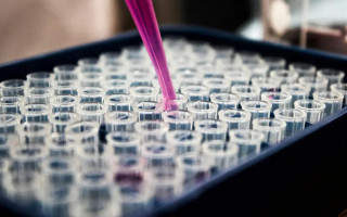  O objetivo das pesquisas, apoiadas pelo Instituto Serrapilheira, é levar os estudos para o Sistema Único de Saúde (SUS) para uso em larga escala.