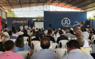 11º Dia de Campo - Feira de Touros da Nelore JAL: unindo genética, conhecimento e produtores para fortalecer a pecuária.