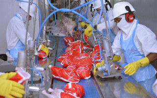 Setor Industrial foi destaque no fechamento do PIB