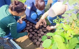 UFT se torna a primeira instituição do Brasil a receber o Selo de Acreditação do Curso de Agronomia (Câmpus de Gurupi)