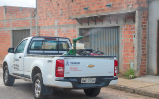 O fumacê será aplicado em três ciclos, com intervalo de cinco dias entre cada passagem, estratégia necessária para atingir mosquitos adultos que emergem após a primeira aplicação.