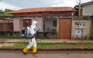 Entre os dias 12 e 19 de fevereiro, o bloqueio químico com UBV registrou 19 imóveis notificados, 58 quarteirões trabalhados e 1.320 imóveis borrifados.