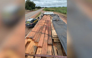 rante a fiscalização, os policiais constataram inconsistências na documentação ambiental apresentada.