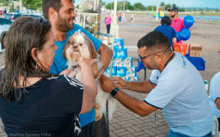 Campanha de vacinação antirrábica em Araguaína tem início nesta semana; meta é vacinar aproximadamente 33 mil animais