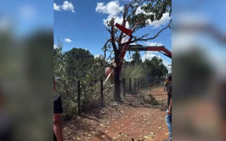 Helicóptero caiu próximo a fazenda de Henrique e Juliano no Tocantins 