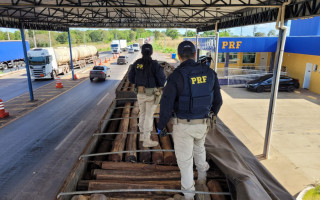PRF apreendeu carga de madeira nativa irregular durante fiscalização na BR-153, em Araguaína.