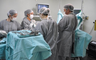 <i>Programa contribuiu para a redução da fila de espera de mais de 5.500 pacientes</i>