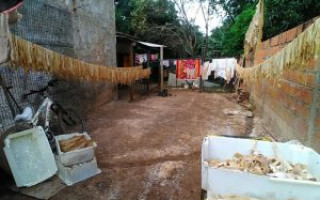 Local apresentava precárias condições de higiene sanitária.